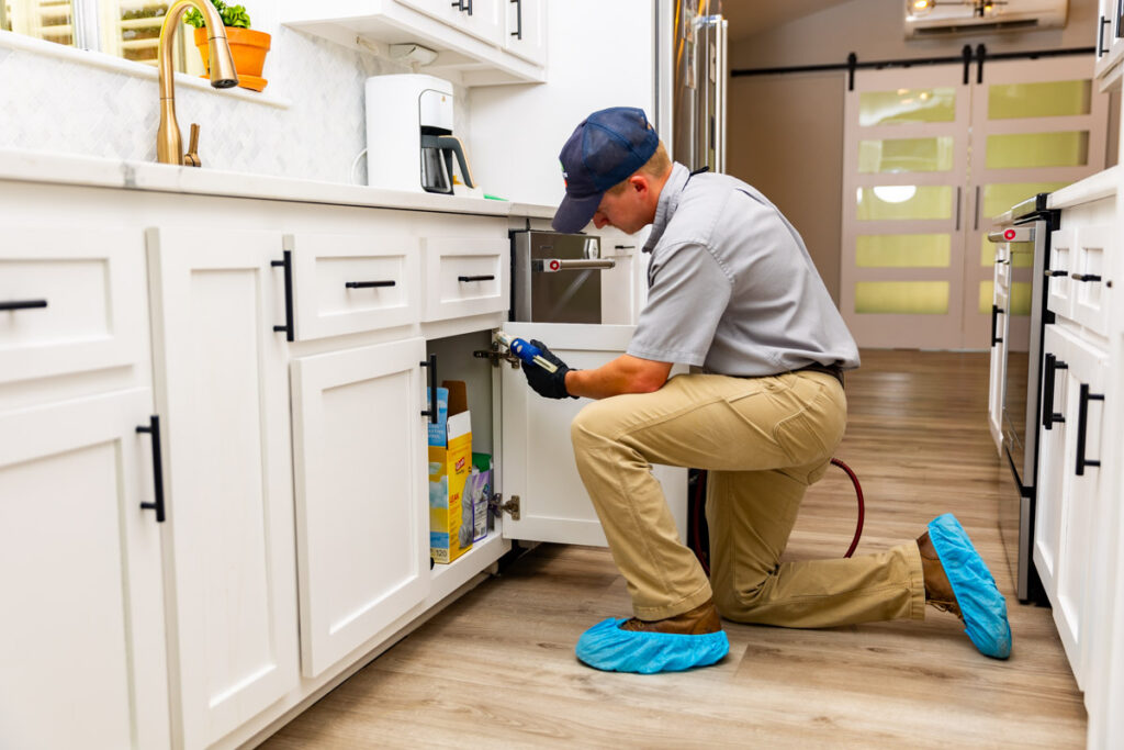 Marion xpert pest management
